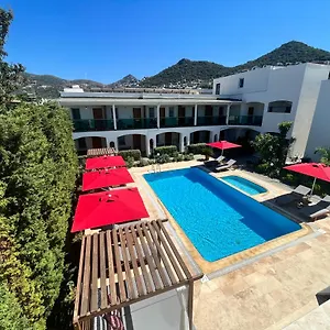 book here